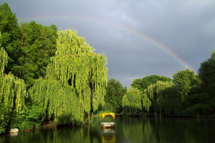 Luisenpark Mannheim (57km)