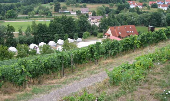 Zeltplatz vom Spitzenberg